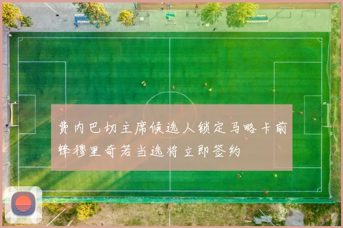 费内巴切主席候选人锁定马略卡前锋穆里奇若当选将立即签约
